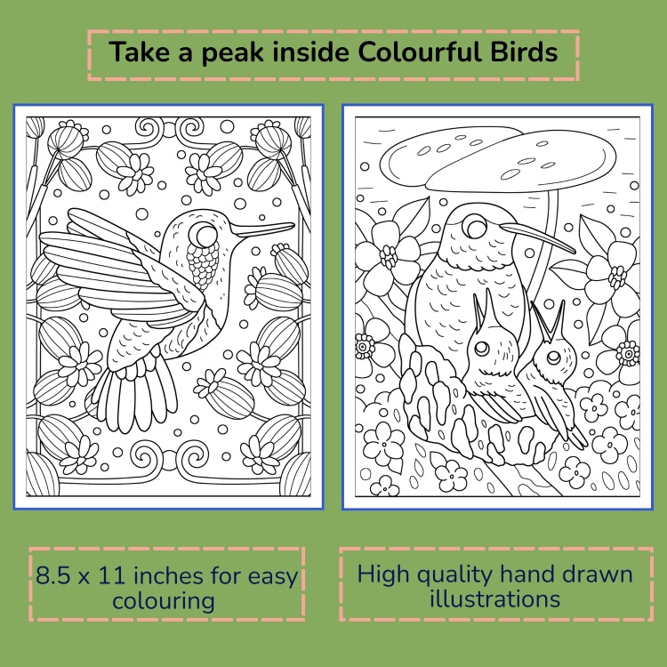 Colourful Birds Colouring Book