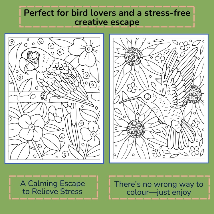 Colourful Birds Colouring Book